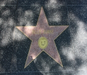 2014 LA CA WalkofFame 076